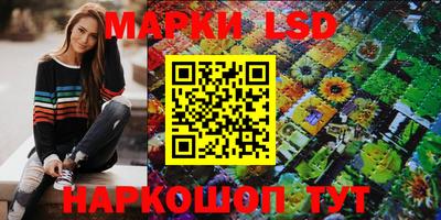 индика Славгород