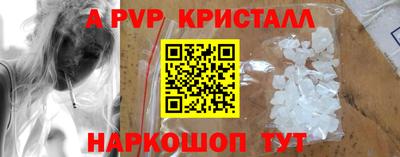 индика Славгород