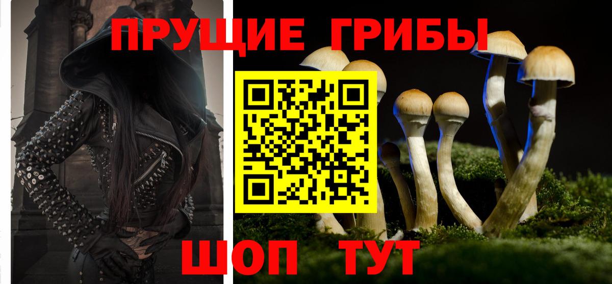 дарнет шоп  Галлюциногенные грибы Cubensis  Вход с VPN  Павловский Посад 