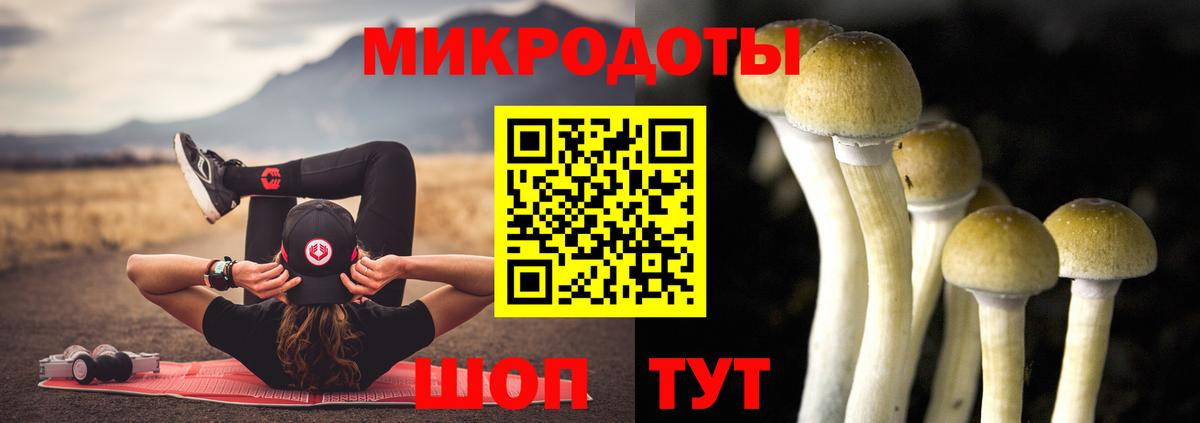 Псилоцибиновые грибы мухоморы Павловский Посад